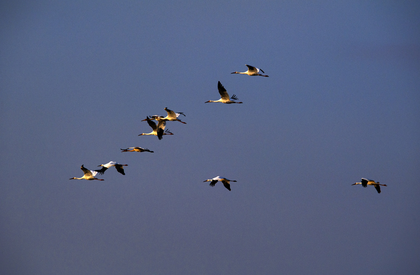 _LFE7447 ����.jpg