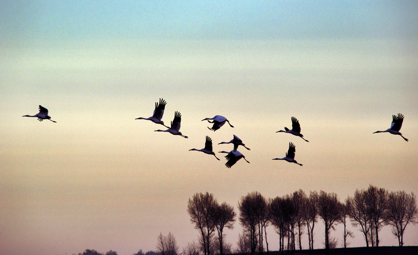 _LFE7619 ����.jpg