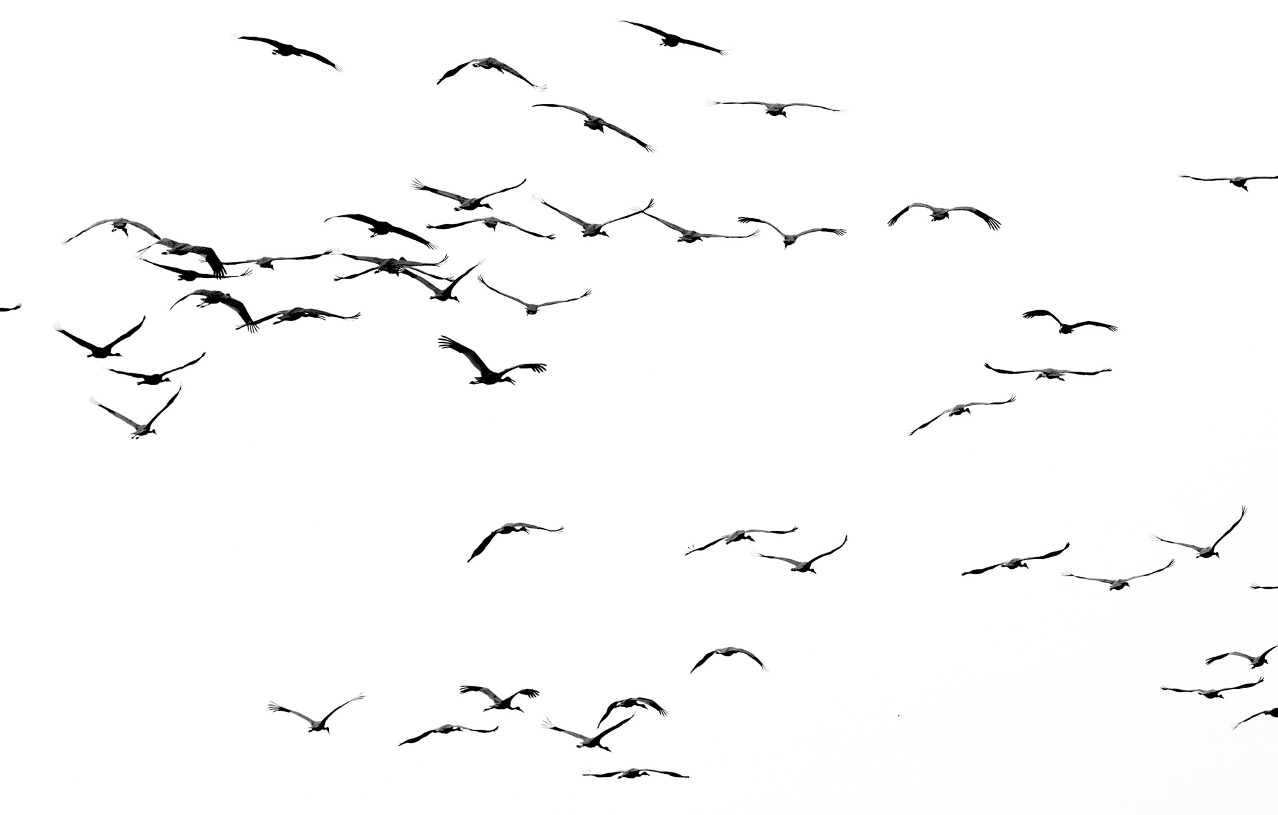 _LFE7434 ����.jpg