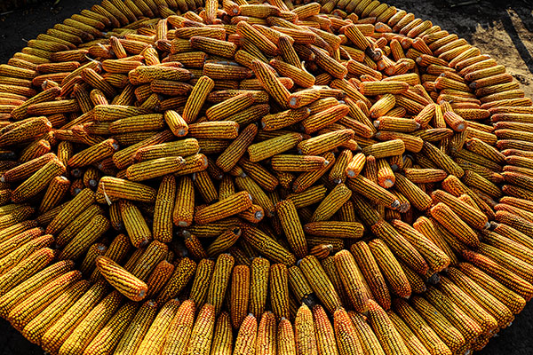 2014��10��24������a 23412.jpg