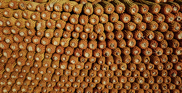 2014��10��24������ a22912.jpg