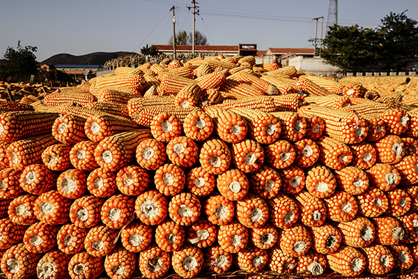 2014��10��24������ a23112.jpg