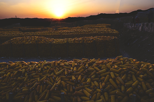 2014��10��24������ a28212.jpg