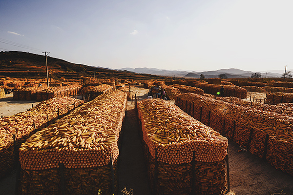 2014��10��24������a 22312.jpg