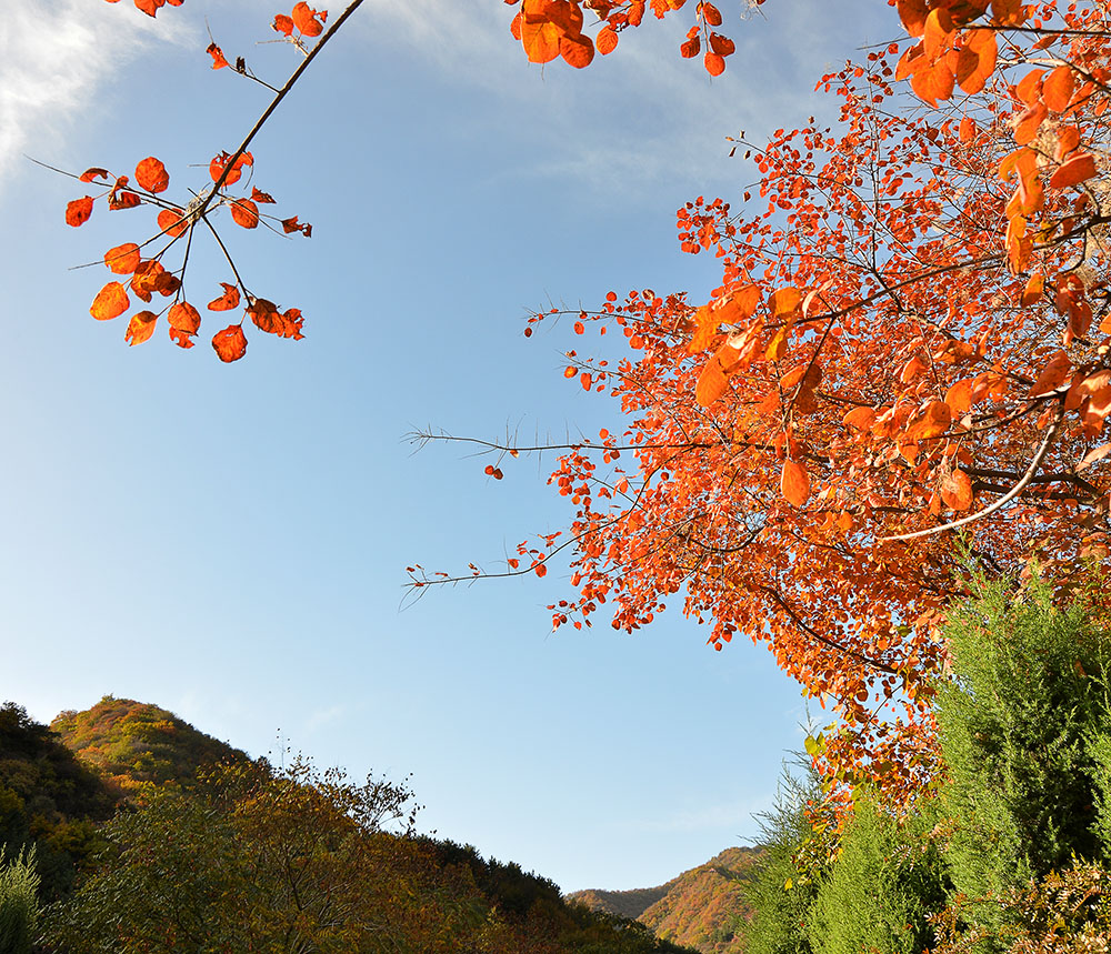 DSC_4630 ����.jpg