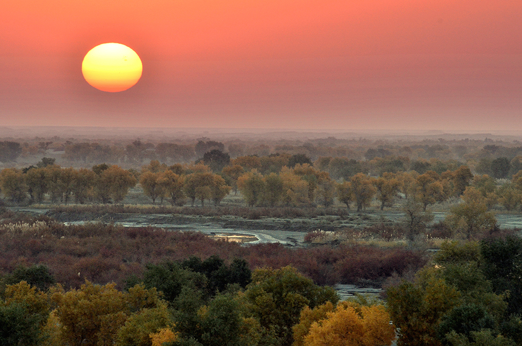 ����  ������