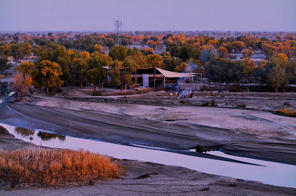 ����   ������