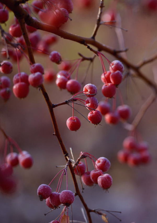 ����ס��ĽŲ�