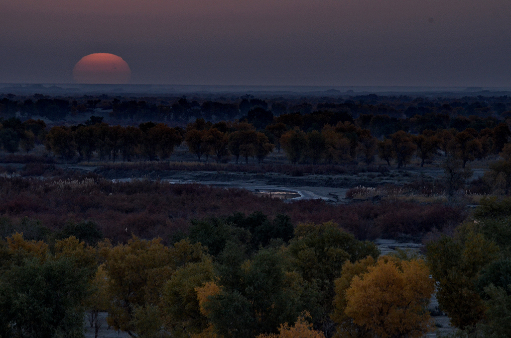 ������   ������