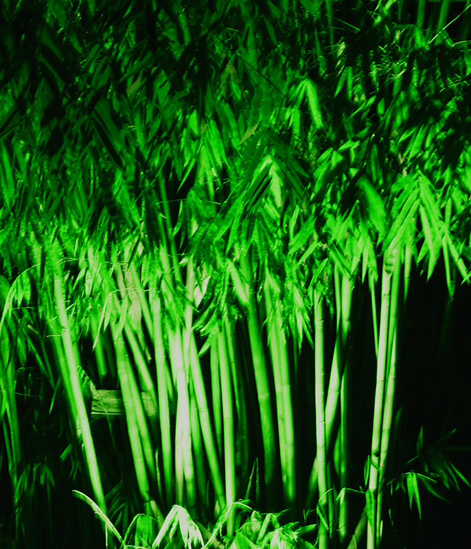 2014��10��18���żҽ� a5881.jpg