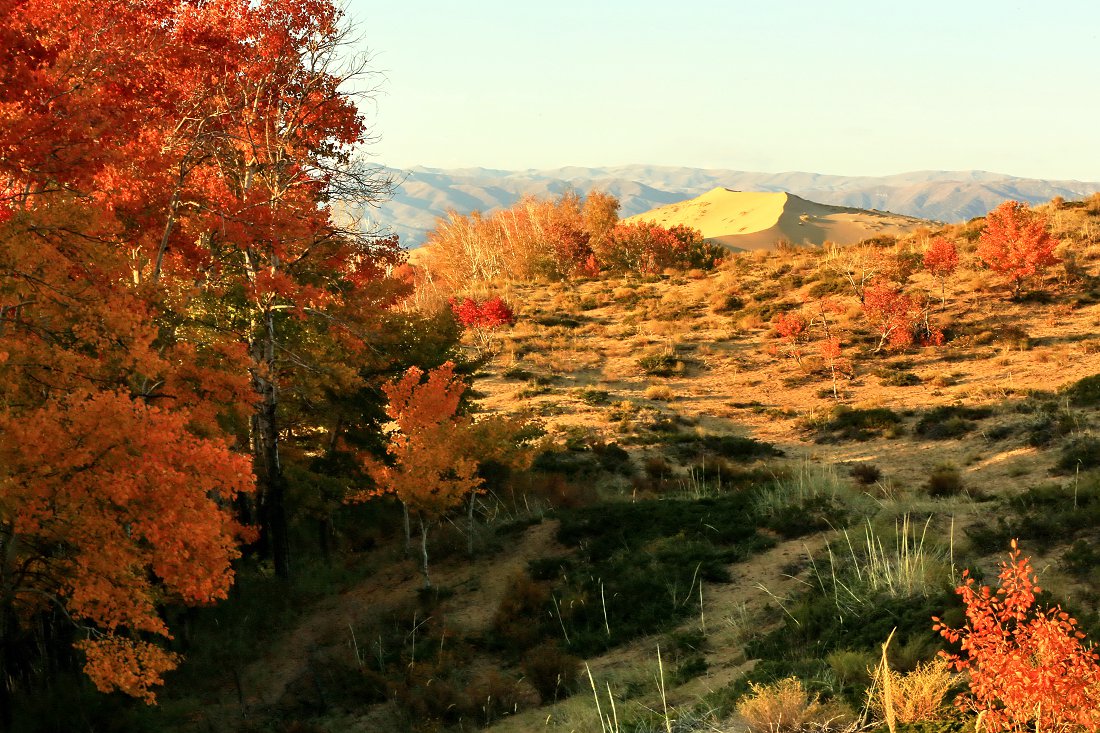 479A0018Q - ����.jpg