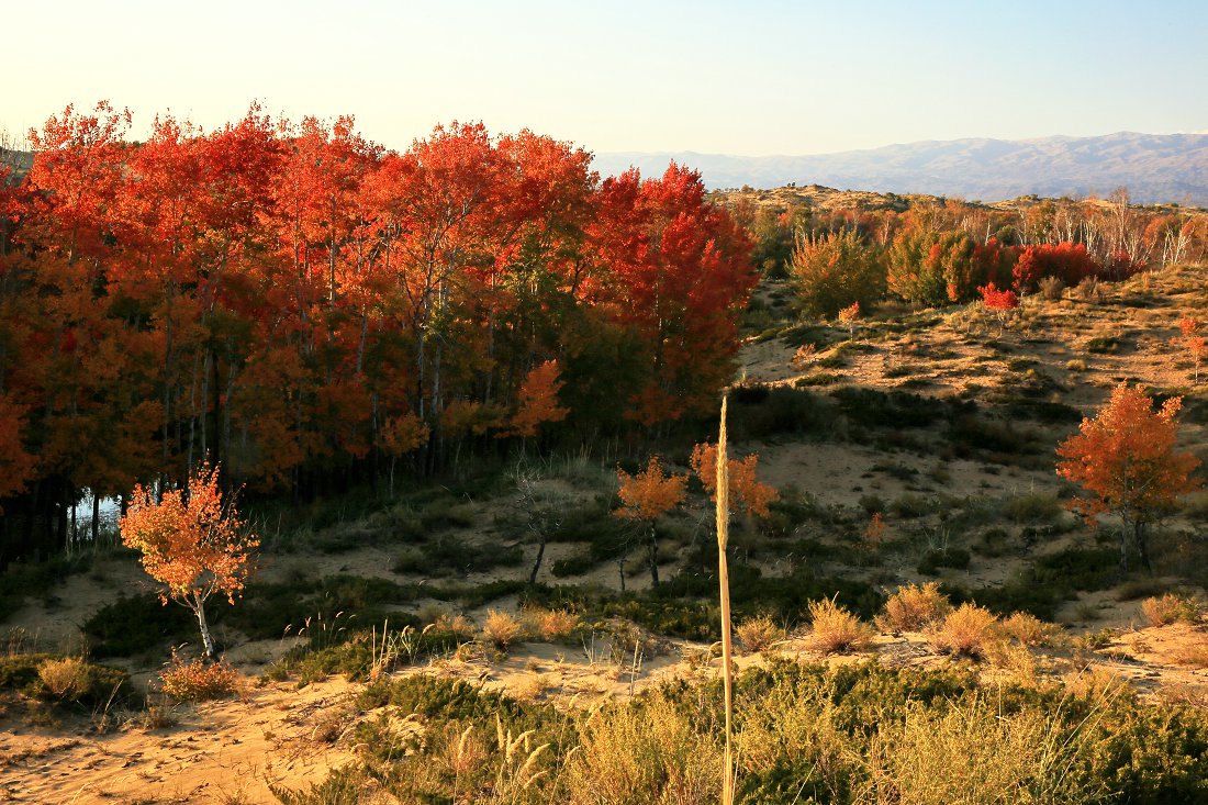 479A0026Q - ����.jpg