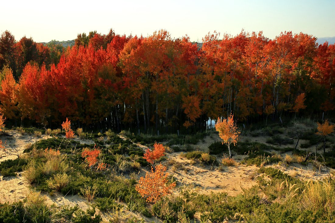 479A0027Q - ����.jpg