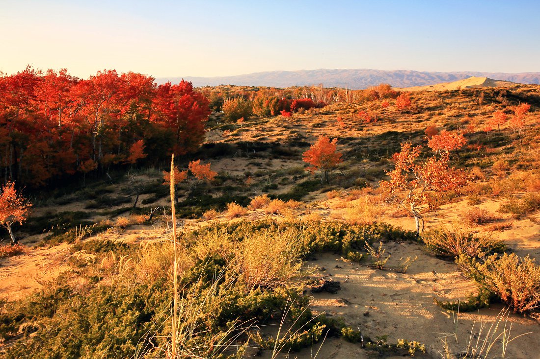 479A0029Q - ����.jpg