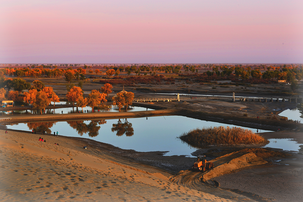 ����   ������