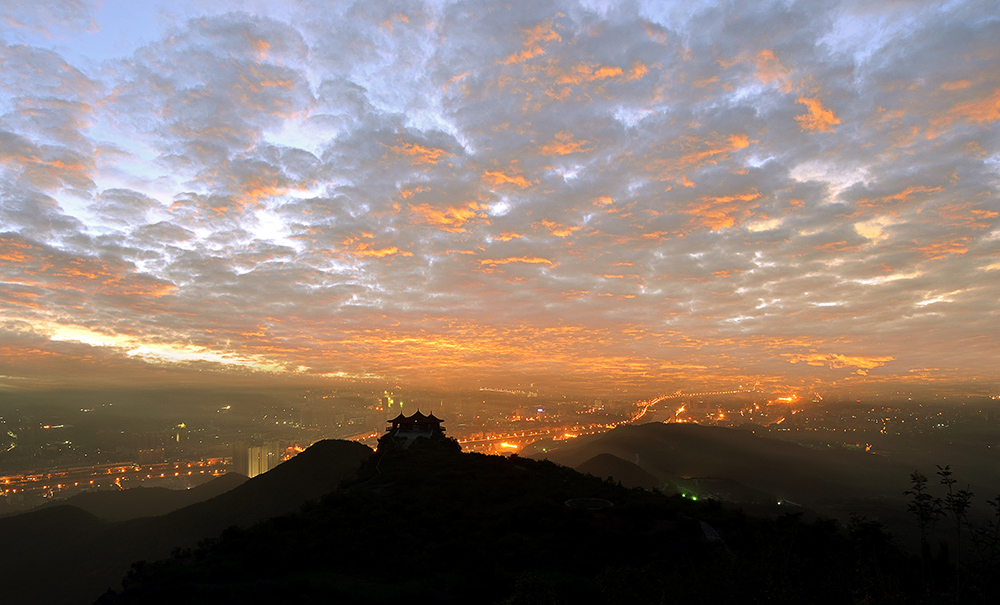 DSC_3165 ����.jpg