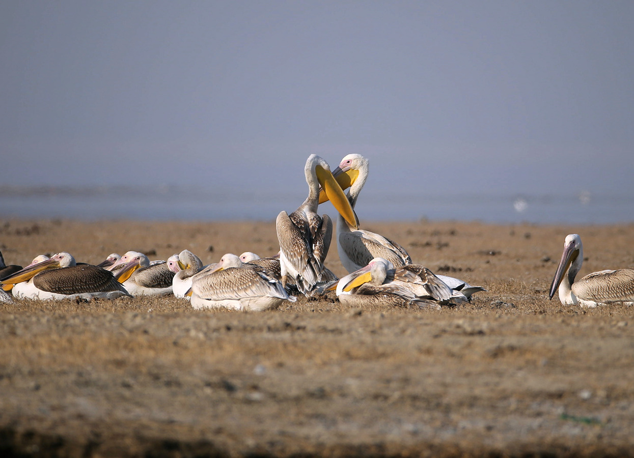 CW2Z2580_���� 5.jpg