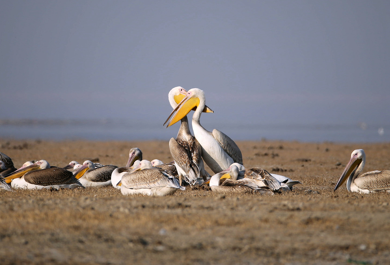 CW2Z2606_���� 7.jpg