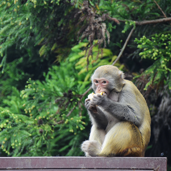 2014��10��18���żҽ� a21912.jpg