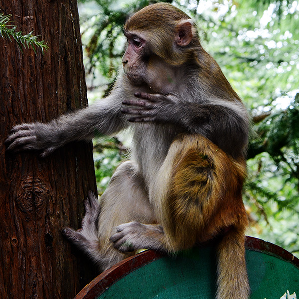 2014��10��18��a 25812.jpg