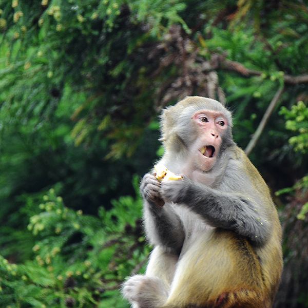 2014��10��18��a 22212.jpg