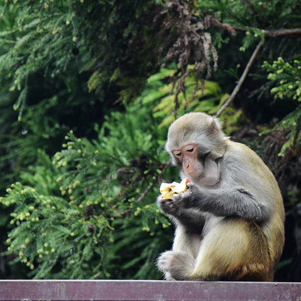 2014��10��18���żҽ� a21812.jpg