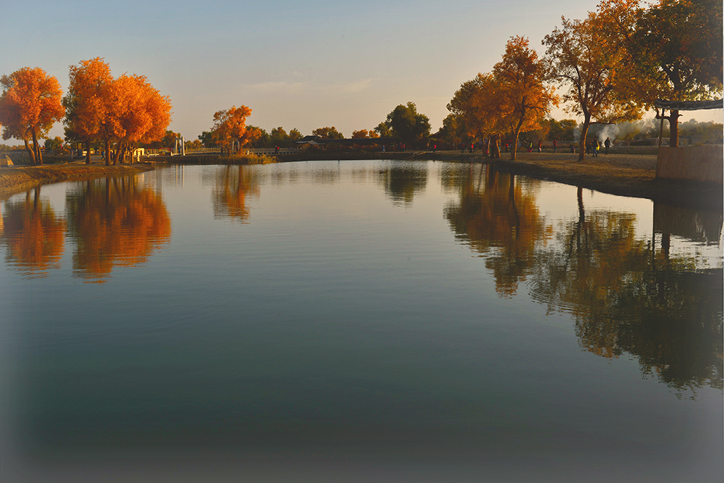 ����   ������