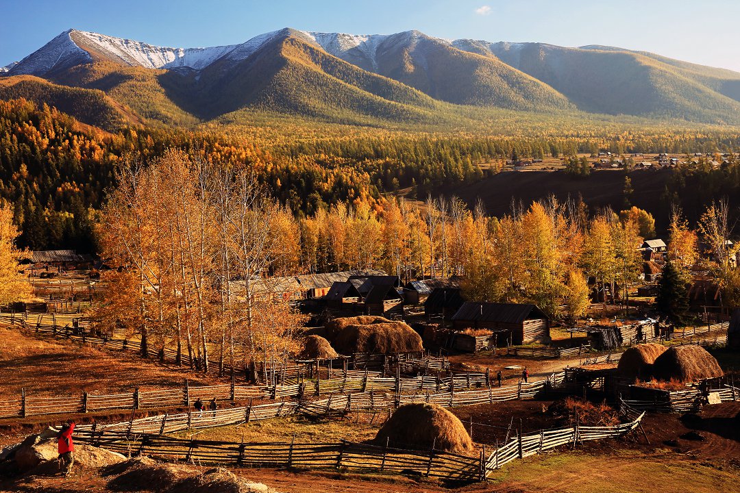 479A0781QW - ����.jpg