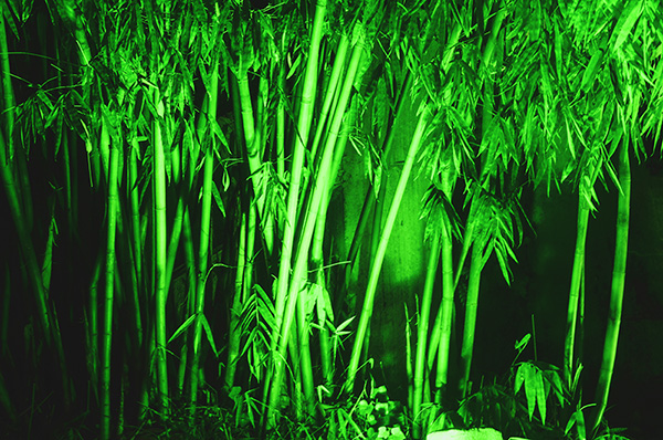 2014��10��18���żҽ� a58712.jpg