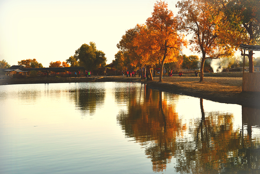 �ٹ�Ӱ   ������