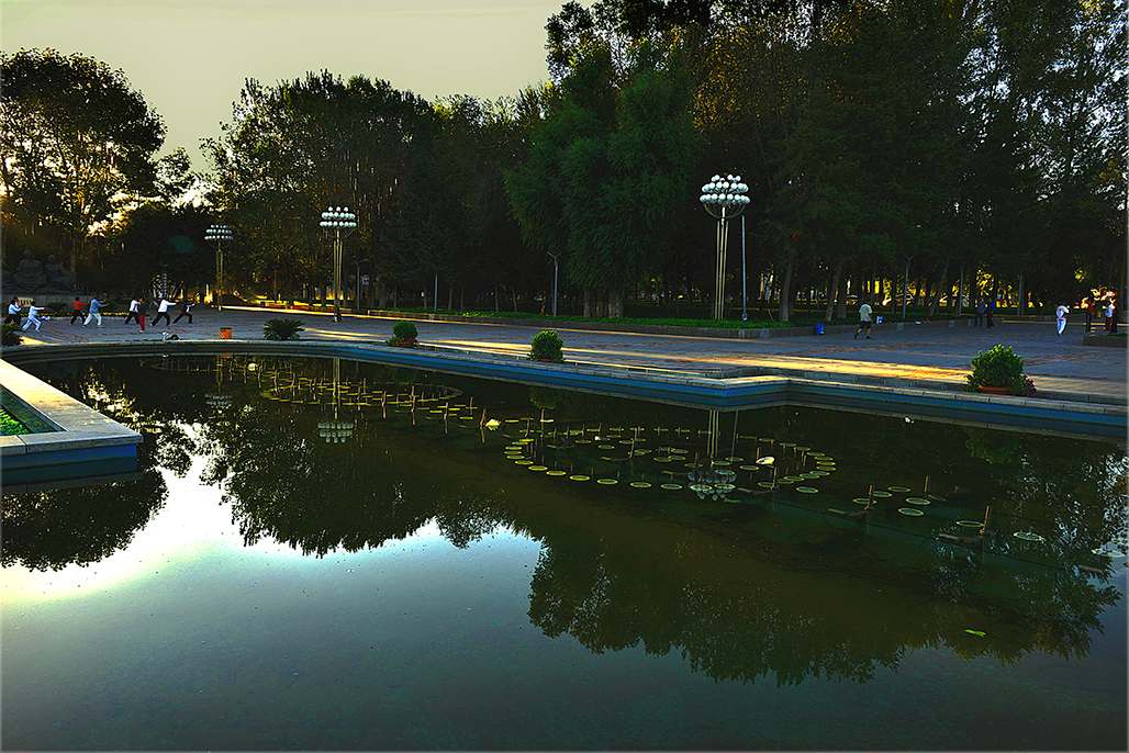 ��ϼ    ������