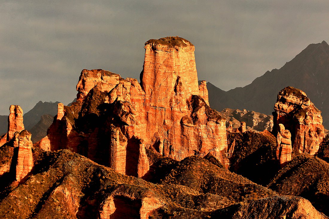 479A6454 - ����.JPG