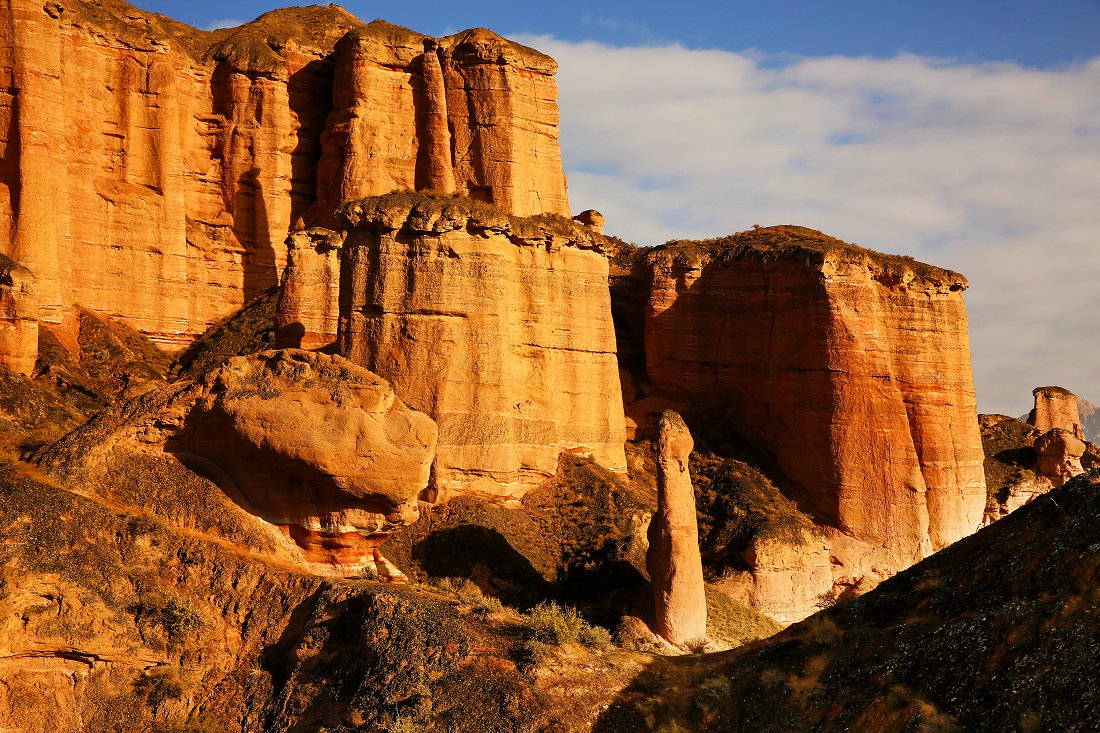 479A6525 - ����.JPG