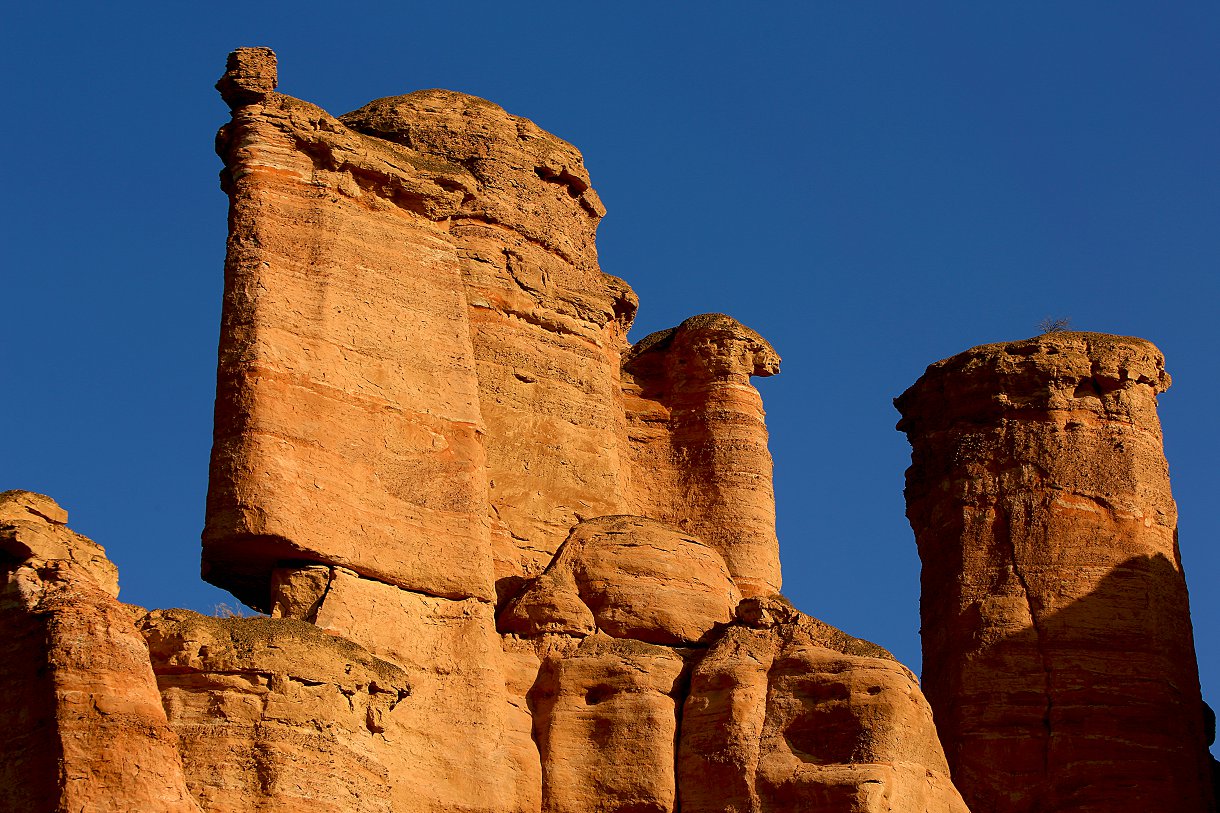 479A6559 - ����.JPG