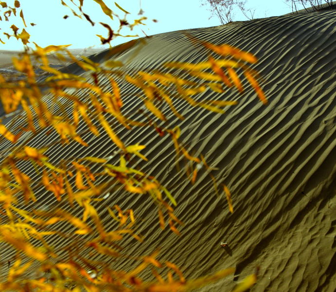 Ծ������������