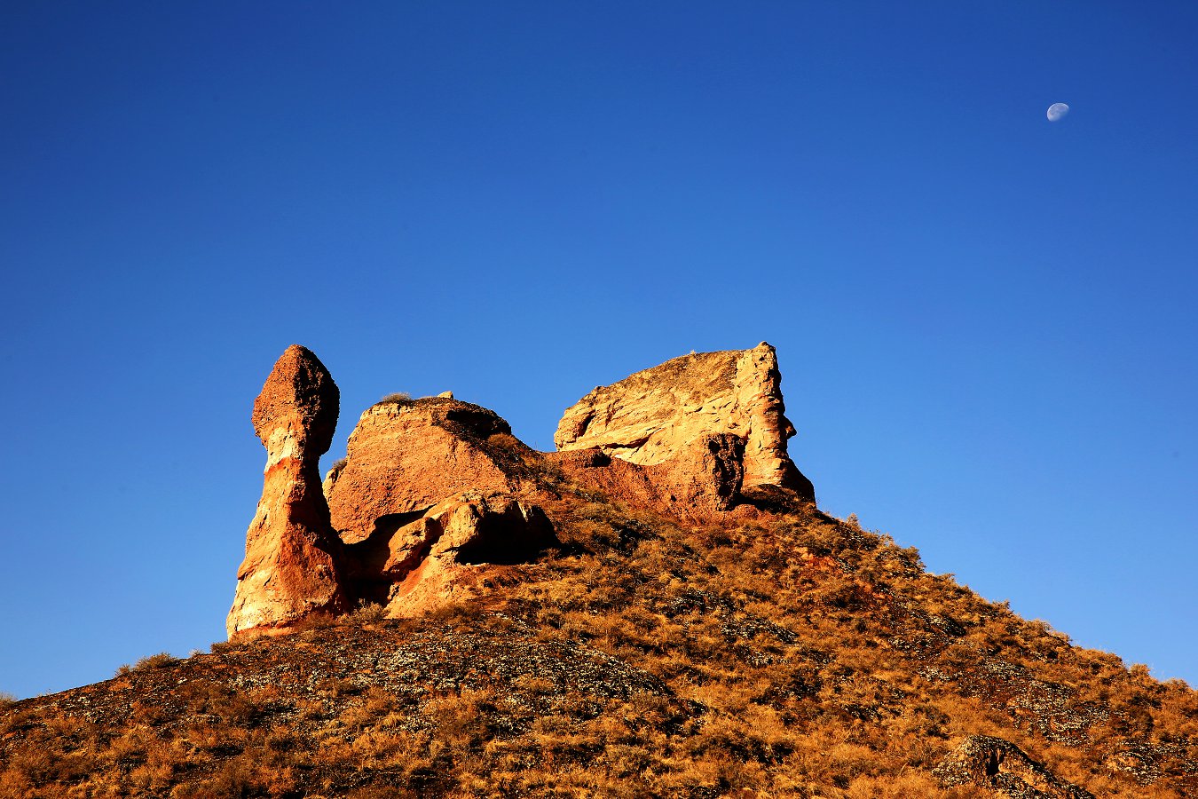 479A6626 - ����.JPG