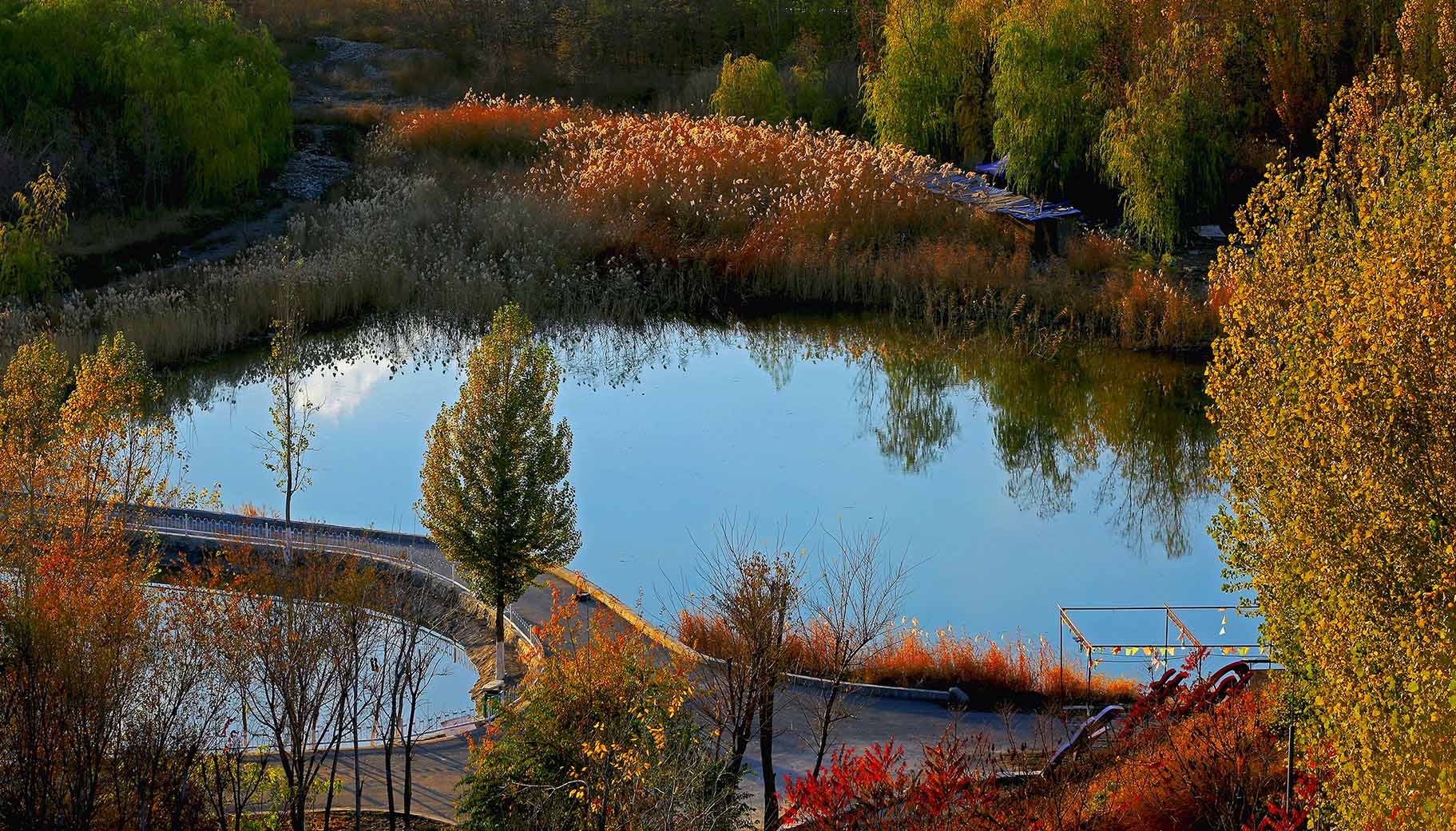 �������