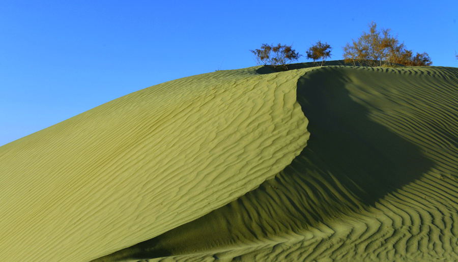 Ц������֮��ĺ���