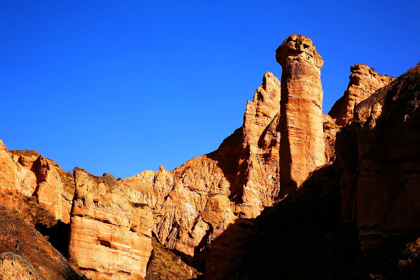 479A6662 - ����.JPG