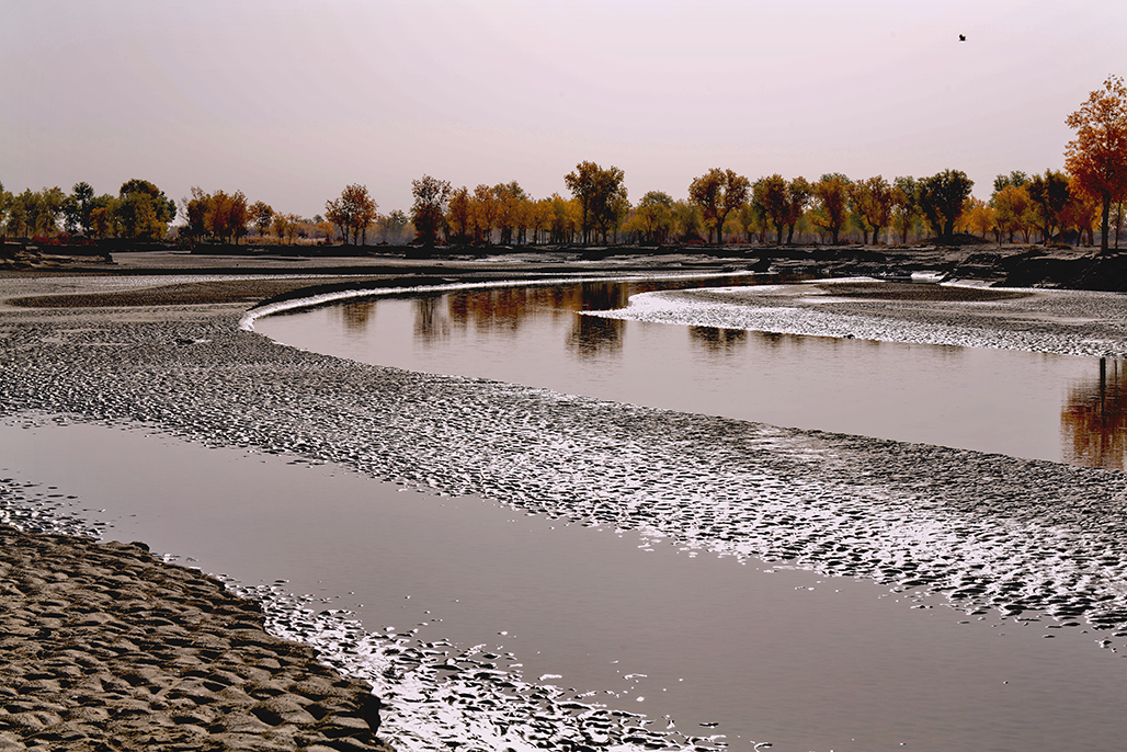 ����    ������