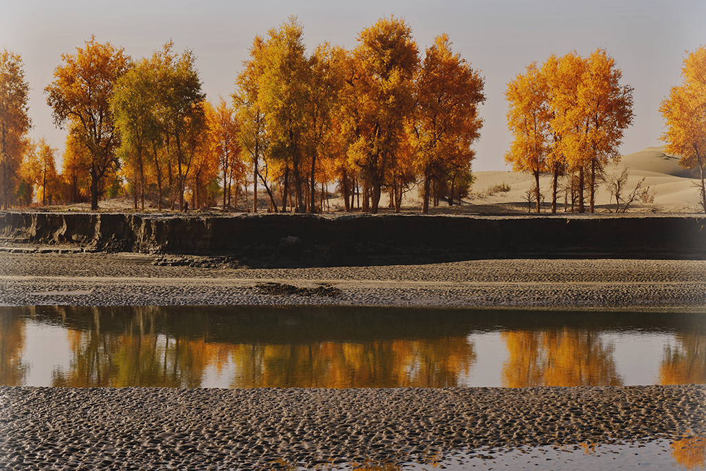 ɳ����     ������