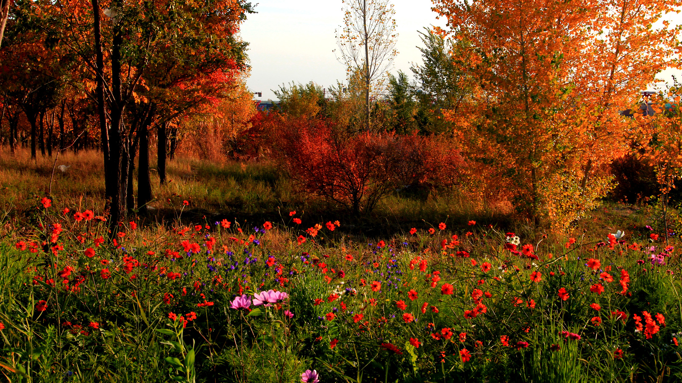 �������� (1).jpg