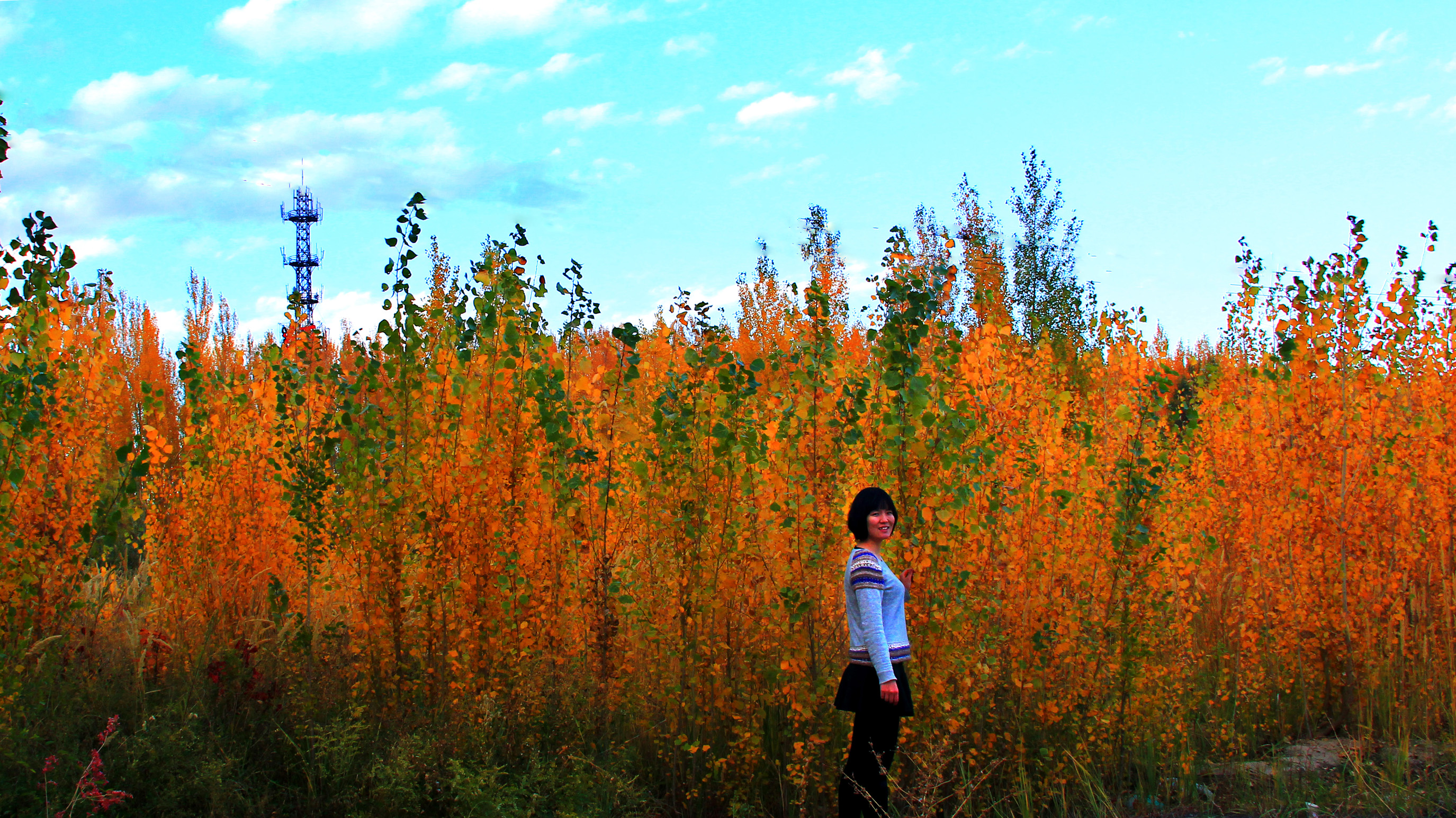 �������� (3).jpg