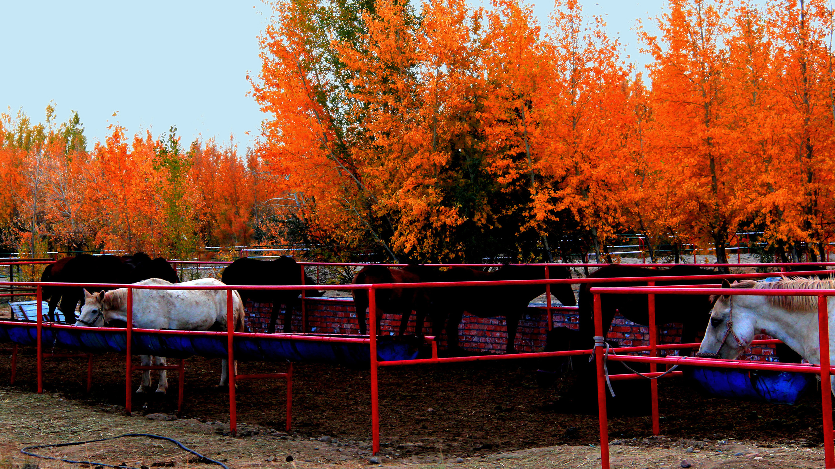 �������� (4).jpg