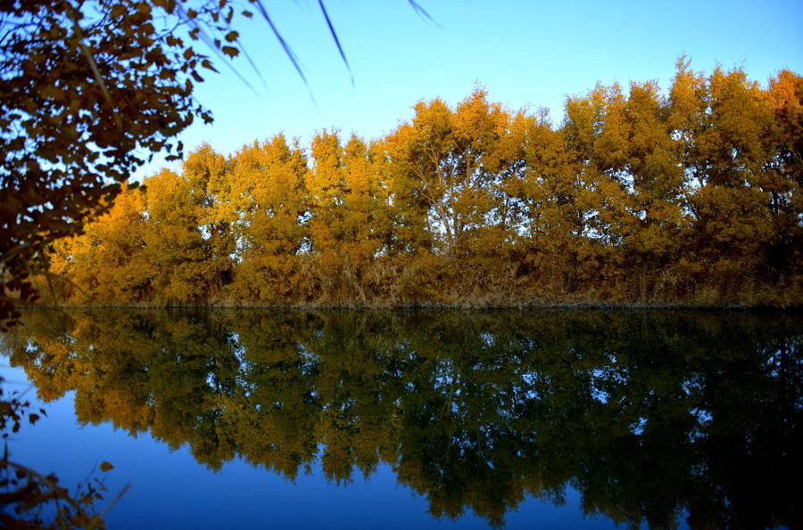 ����ˮϵ������Ӱ