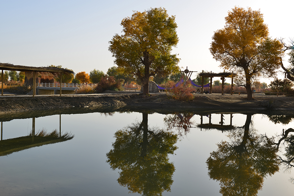 �к���     ������