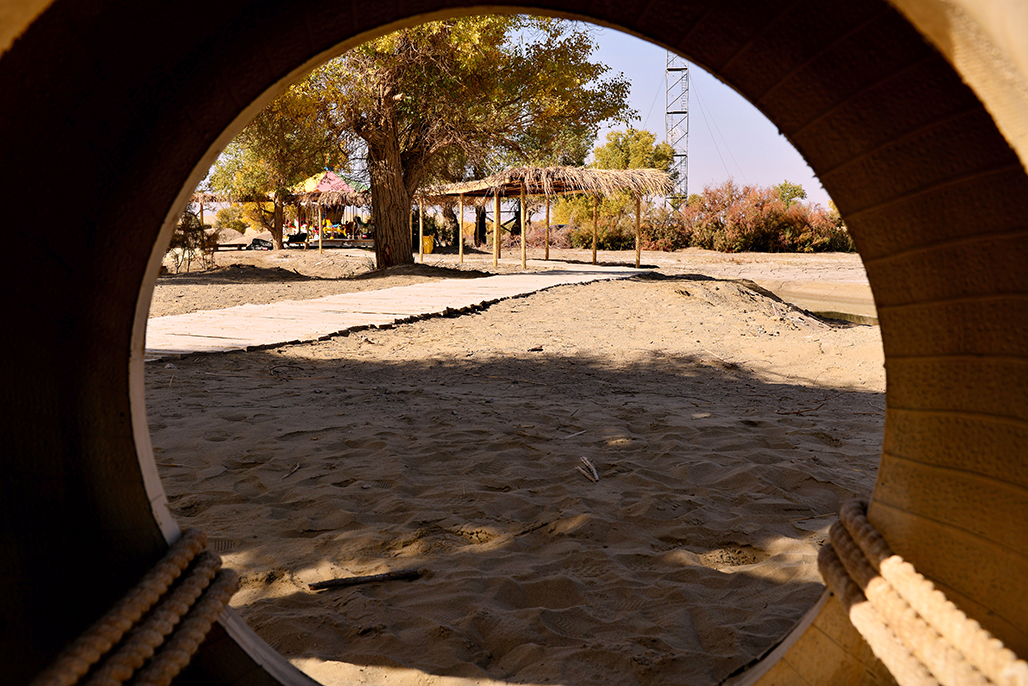 �����Ư��  ������