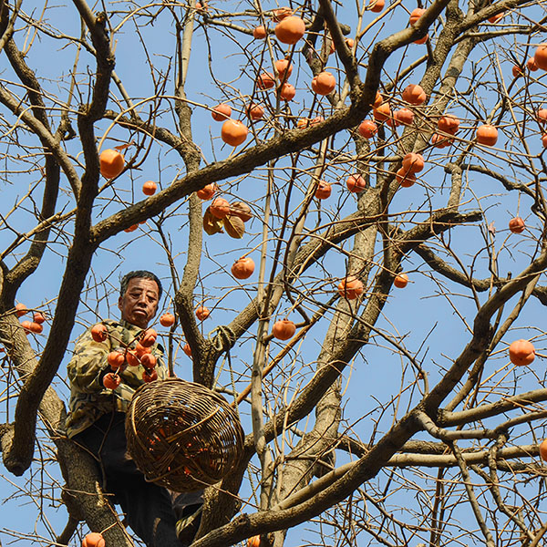 2014��11��9��a 04112.jpg