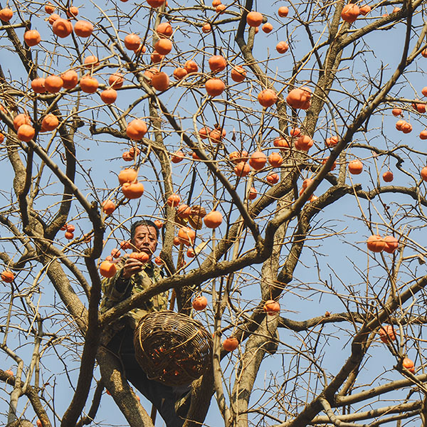 2014��11��9��a 03612.jpg