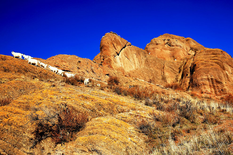 479A9034Qw - ����.jpg